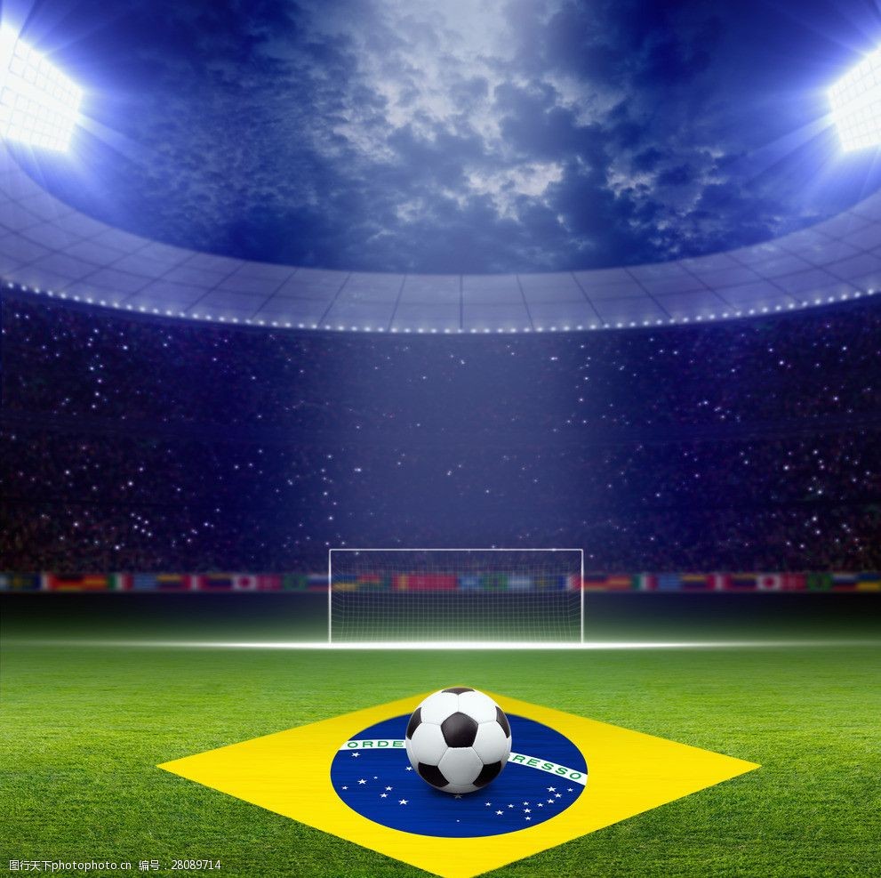 不仅巩固了 不仅巩固了