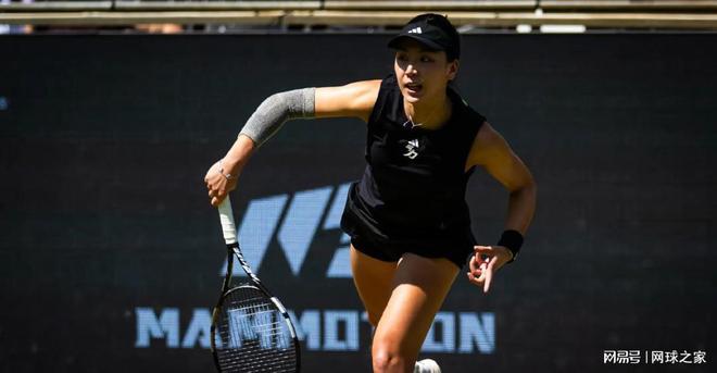 未来展望 未来展望